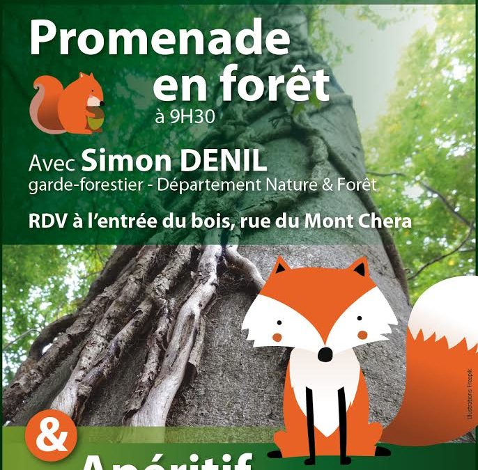 Bois de Seraing – Promenade en forêt
